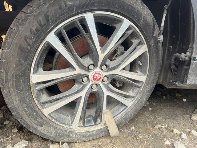 T4K3866 JAGUAR купить в Николаев