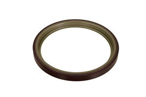 479700004R Кольцо АБС (ABS) купить Черкассы