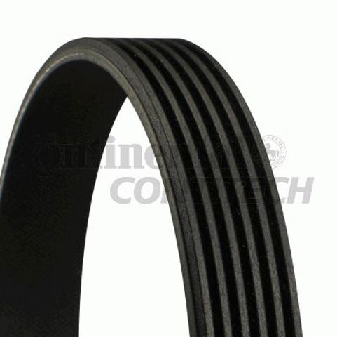 CONTINENTAL 6PK1020EXTRA Ремень агрегатов приводной в наличии Кривой Рог