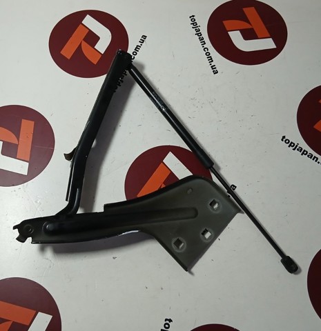 HK8316C826AA JAGUAR Амортизатор капота купить в Ужгород