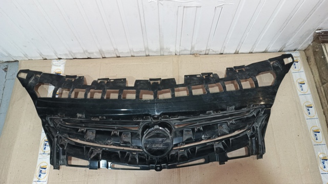 OPL09AS030 DEGA Решетка радиатора купить в Павлоград