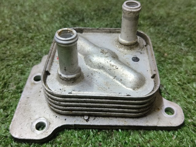 213053TA2A NISSAN Радиатор масляный купить в Тернополь