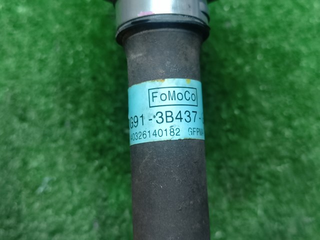 DG913B437GD FORD купить в Черкассы