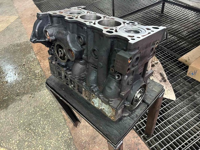 Мотор в сборе F1AE0481D FIAT