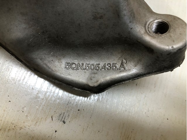 5QN505435A VAG Цапфа (поворотный кулак) задний левый купить в Николаев