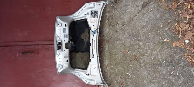 51789394 FIAT Капот купить в Хмельницкий