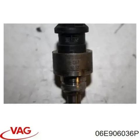 Форсунки 06E906036P VAG