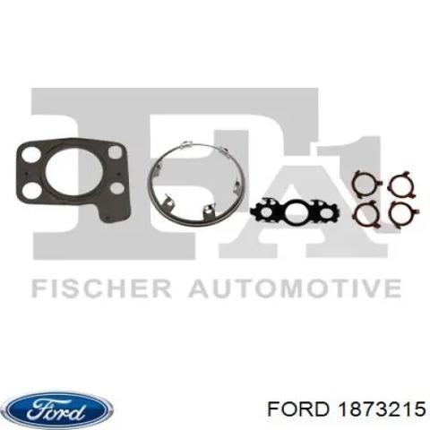1873215 FORD Турбина купить в Кривой Рог