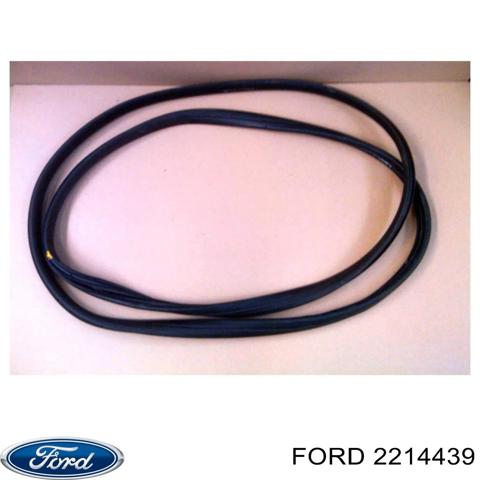 Прокладка двери передней, правой (на кузове) 2214439 FORD