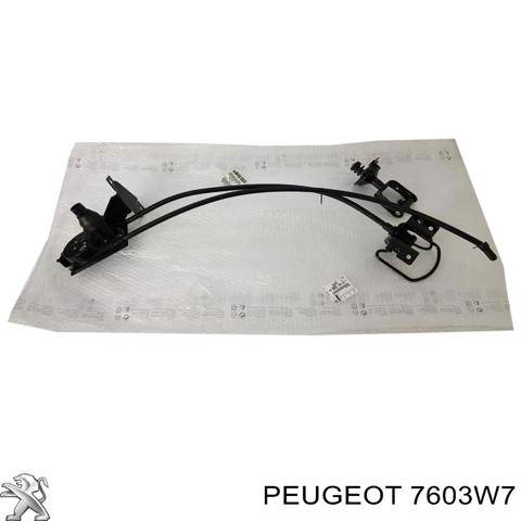 7603W7 Peugeot/Citroen