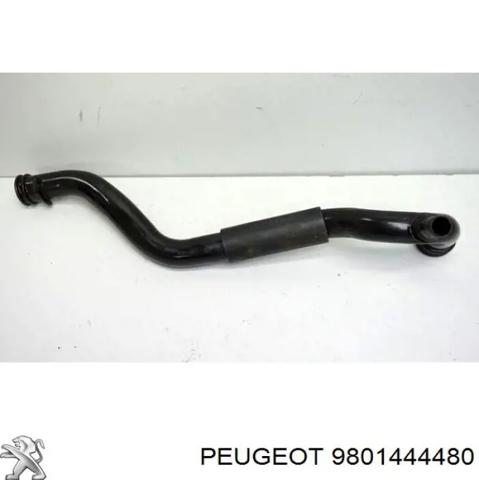 Трубопроводы и шланги системы охлаждения 9801444480 PEUGEOT