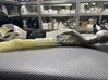 Рычаг передней подвески верхний, левый 2123302711 MERCEDES