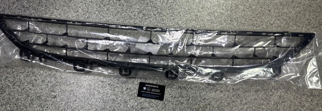 51117319768 BMW Решетка бампера переднего нижняя купить в Ужгород