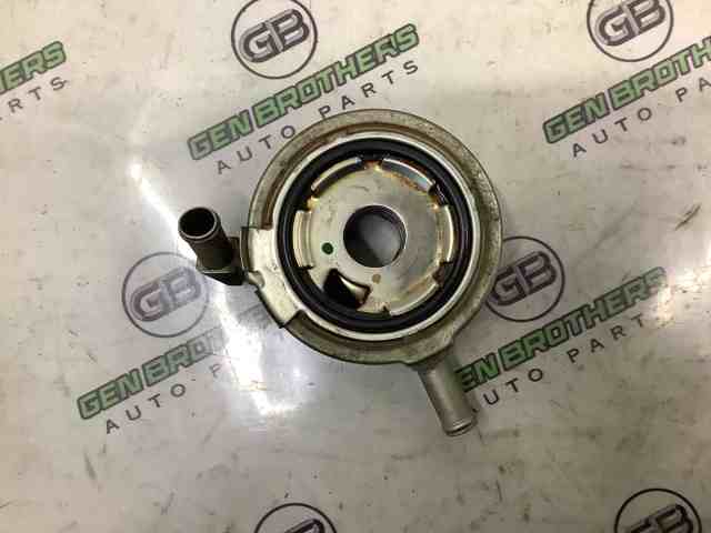 213059N00A NISSAN Радиатор масляный купить в Винница