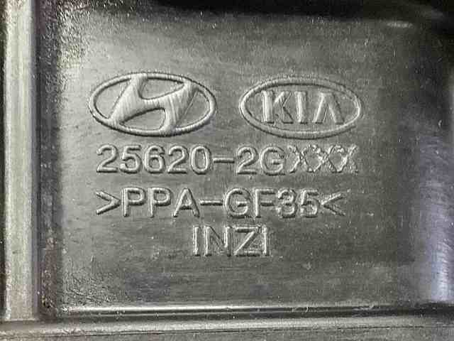256202GXXX купить Львов