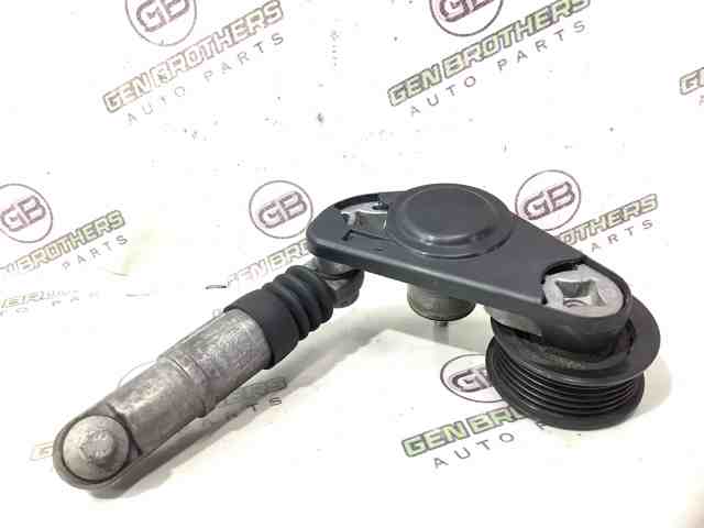 Роликовий модуль натяжителя ремня LR034128 LAND ROVER