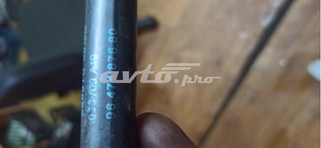 Амортизатор задней двери 9647487680 PEUGEOT