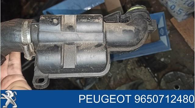 PEUGEOT 9650712480 в наличии Павлоград