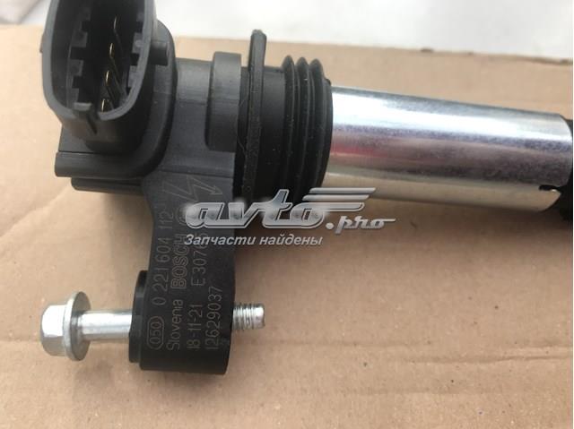 0221604112 BOSCH Катушка зажигания купить в Винница