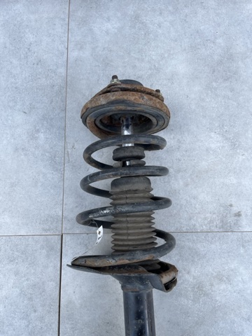 550208H762 NISSAN Пружина задняя купить в Полтава