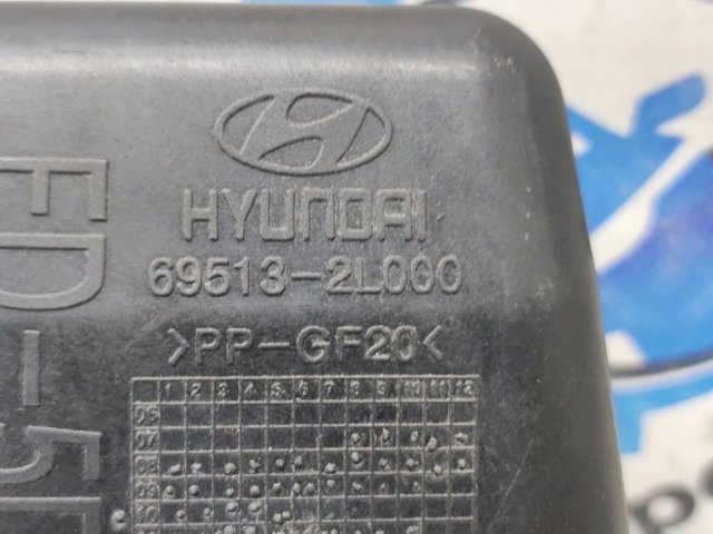 HYUNDAI 695132L000 в наличии Павлоград