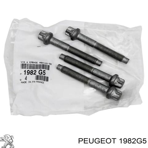 Болт крепления форсунки 1982G5 PEUGEOT
