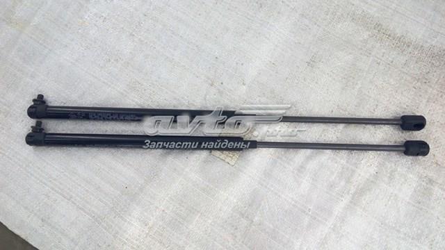 GM 96563503 Амортизатор крышки багажника (двери 3/5-й задней) в наличии Львов