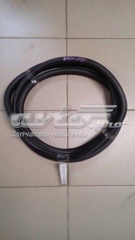 BMW 51727289639 Уплотнитель двери задней (на кузове) в наличии Ужгород