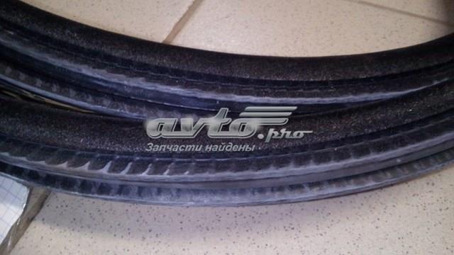51727289639 BMW Уплотнитель двери задней (на кузове) купить в Полтава