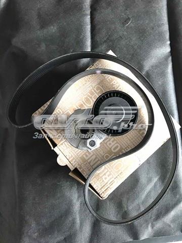 117203694R RENAULT Ремень приводной купить в Кривой Рог