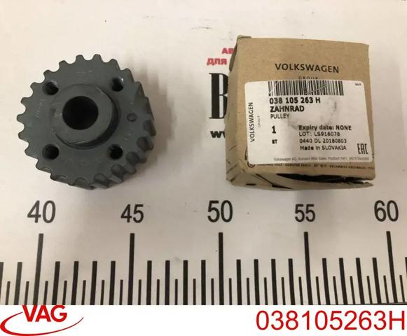 Звезда коленчатого вала 038105263H VAG