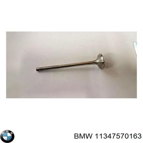 Впускной клапан 11347570163 BMW