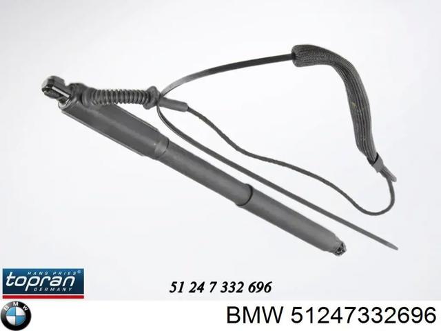 BMW 51247332696 Амортизатор багажника в наличии Николаев