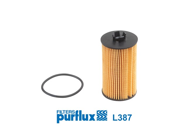 Фильтр очистки масла центробежный L387 PURFLUX