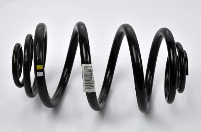 Пружина амортизатора 550202870R RENAULT