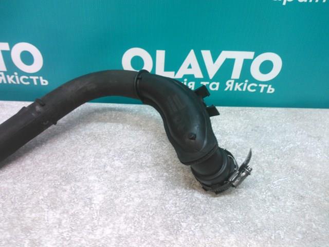 001751 RENAULT купить в Тернополь