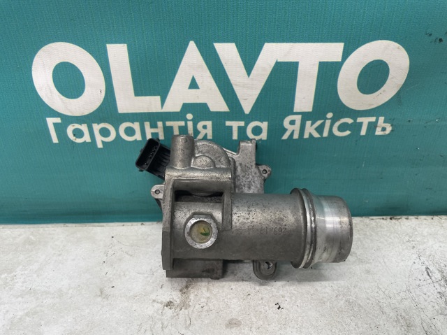 RENAULT 161A05457R Дроссельная заслонка в сборе в наличии Днепр