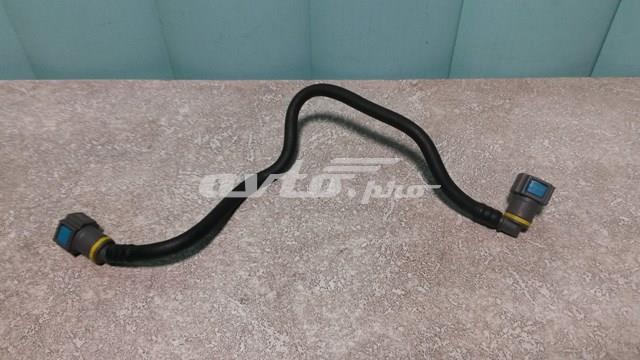 166720944R RENAULT купить в Черновцы