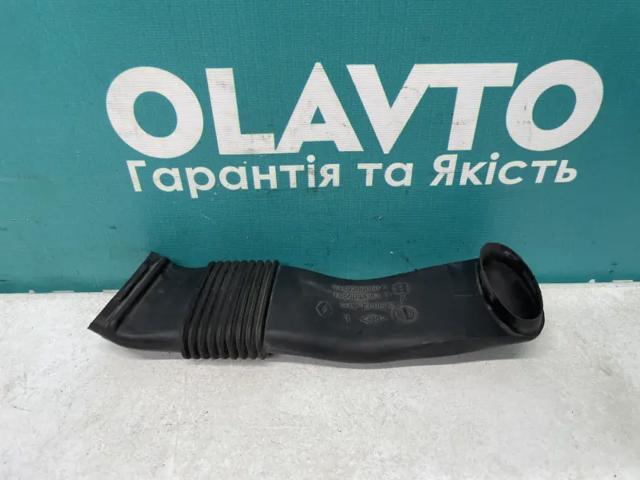 RENAULT 244930005R в наличии Черкассы