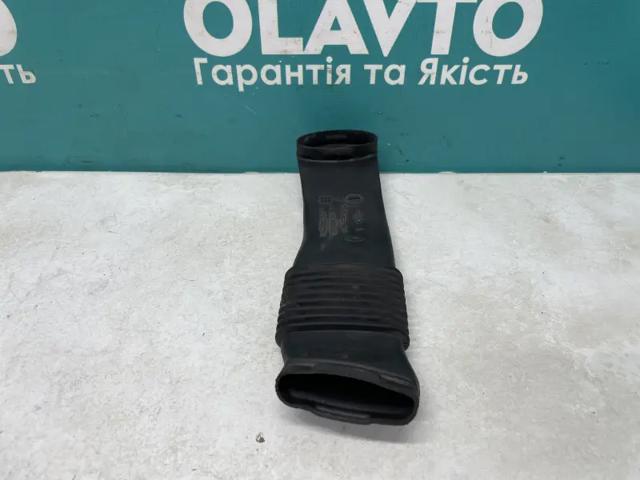 244930005R RENAULT купить в Днепр