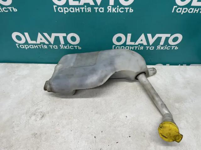 289150003R купить Черновцы