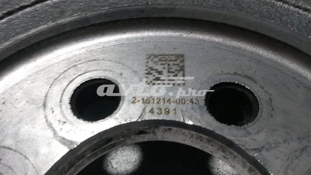 302057404R RENAULT купить в Павлоград