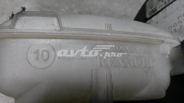 RENAULT 460910006R Бачок тормозной в наличии Ирпень