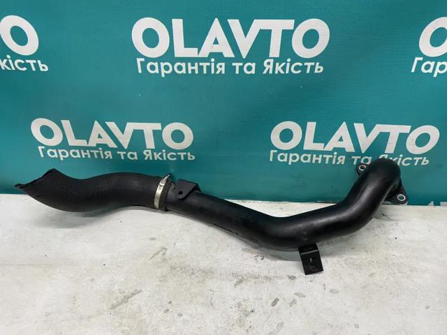 51881823 FIAT Шланг (патрубок) интеркуллера купить в Черновцы