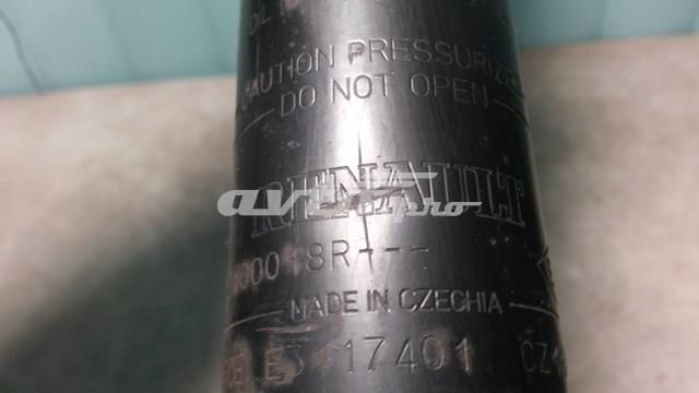 562100018R RENAULT Амортизатор задний купить в Киев