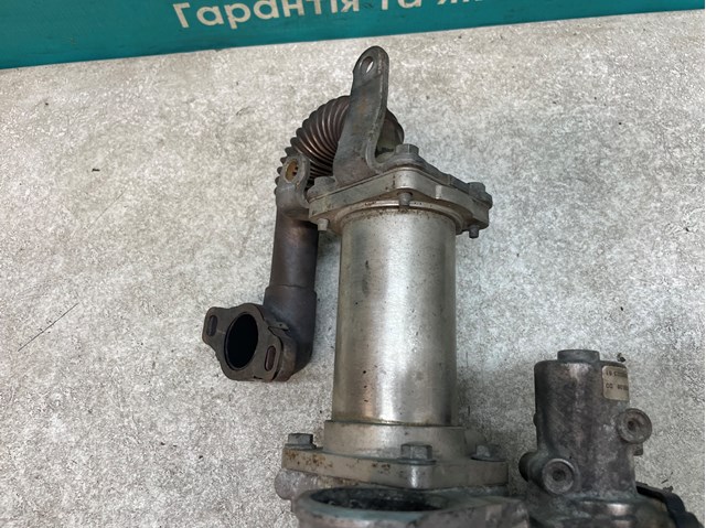 7701063752 Радиатор системы EGR купить Хмельницкий