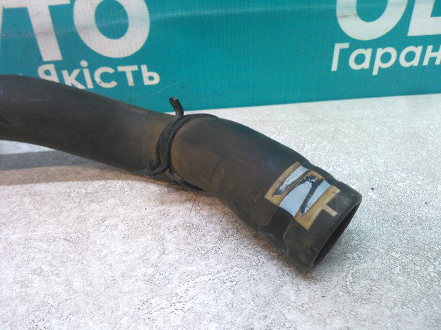 8200069231 RENAULT Шланг (патрубок) радиатора охлаждения верхний купить в Львов