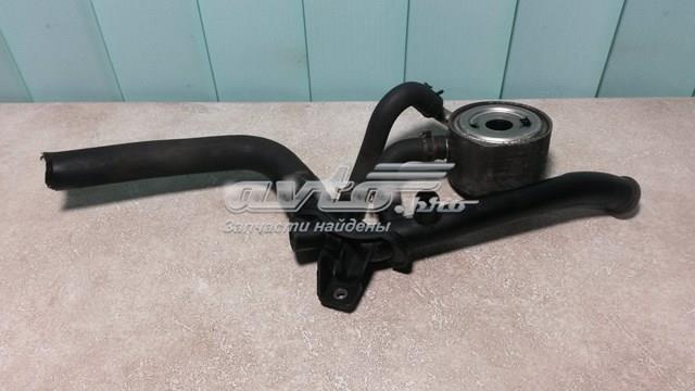 8200110038 Патрубок системы охлаждения купить Каменское