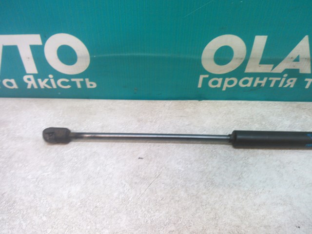 RENAULT 8200299546 Амортизатор багажника в наличии Кривой Рог