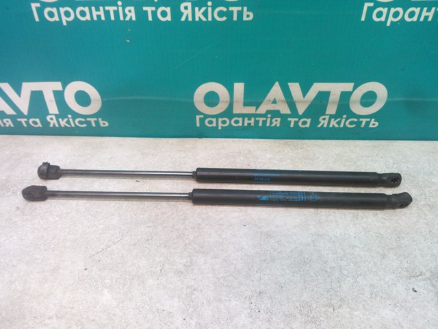 RENAULT 8200299546 Амортизатор багажника в наличии Запорожье